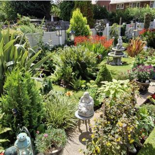 A colourful garden packed with shrubs, succulents, statues and a lawn