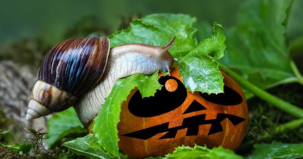 Green Halloween