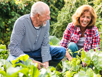 A man and a woman doing some gardening