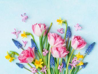 A collection of spring flowers, daffodils, tulips, bluebells and hyacinth