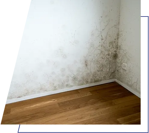 An image of mould in a home