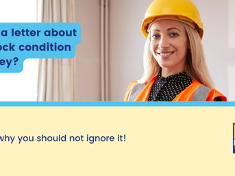 Stock Condition Survey Website News (2240 X 1260 Px)