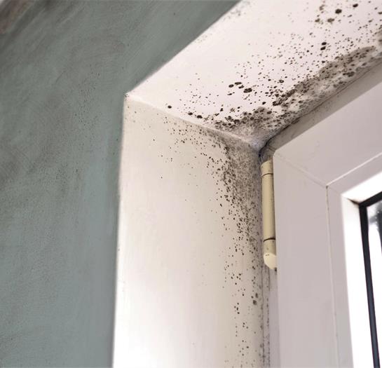 Adobestock 294527649