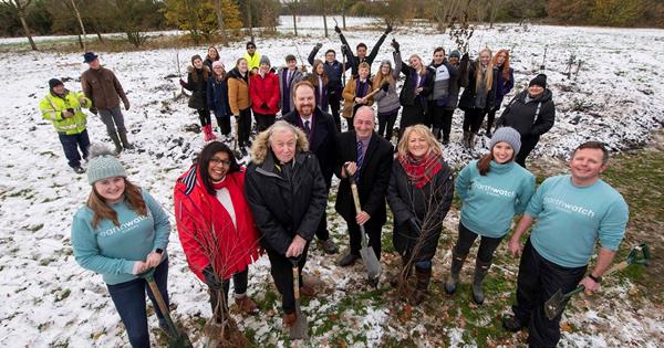 Tree planting in Moseley