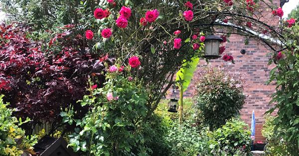 Garden Competition 2022 Final