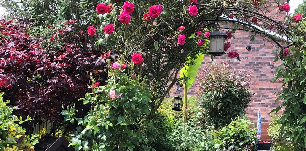 Garden Competition 2022 Final Garden Competition 2022 Final