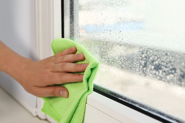 Condensation Web Only