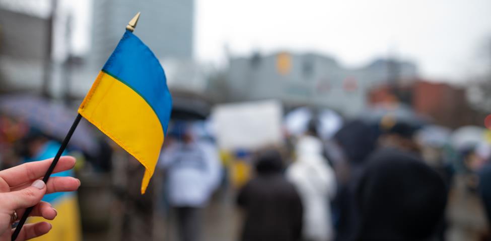 Ukraine Flag 2